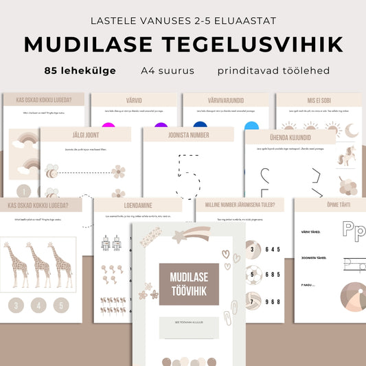 Taibuka mudilase suur tegelusvihik – 85 arendavat tegevust
