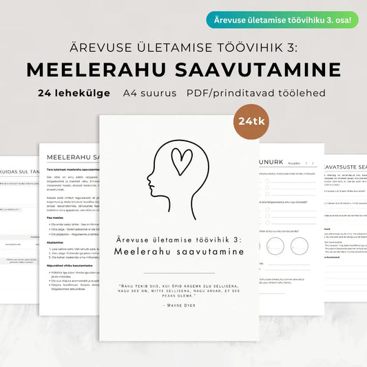 Kolmas osa: Ärevuse ületamise töövihik 3 - Meelerahu saavutamine