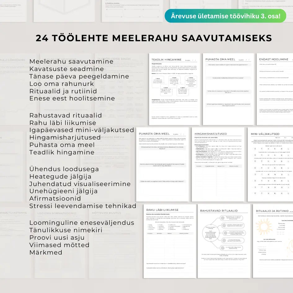 Kolmas osa: Ärevuse ületamise töövihik 3 - Meelerahu saavutamine