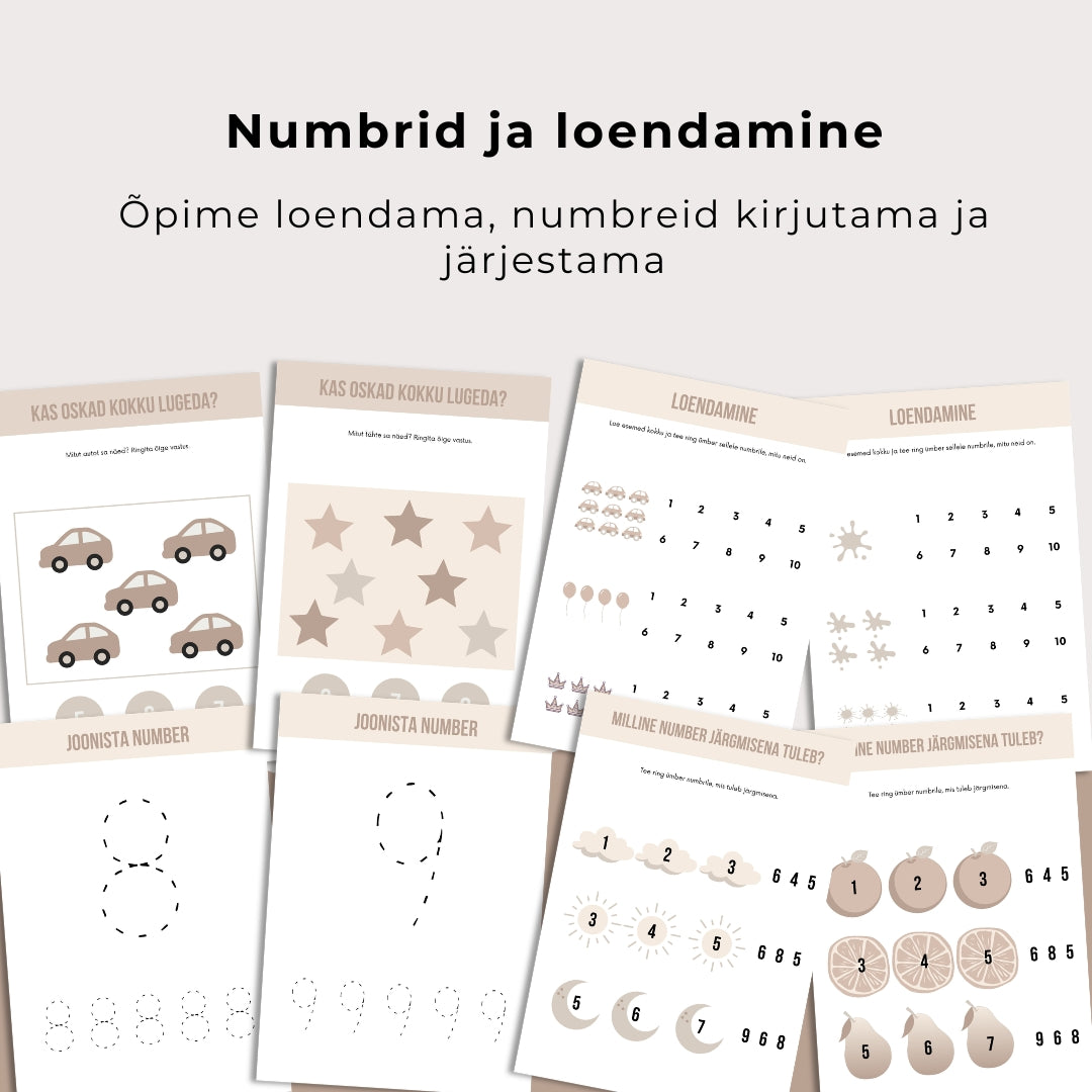 Taibuka mudilase suur tegelusvihik – 85 arendavat tegevust