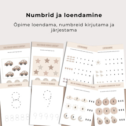 Taibuka mudilase suur tegelusvihik – 85 arendavat tegevust