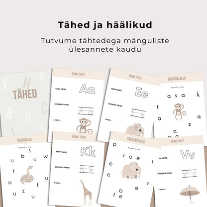 Taibuka mudilase suur tegelusvihik – 85 arendavat tegevust