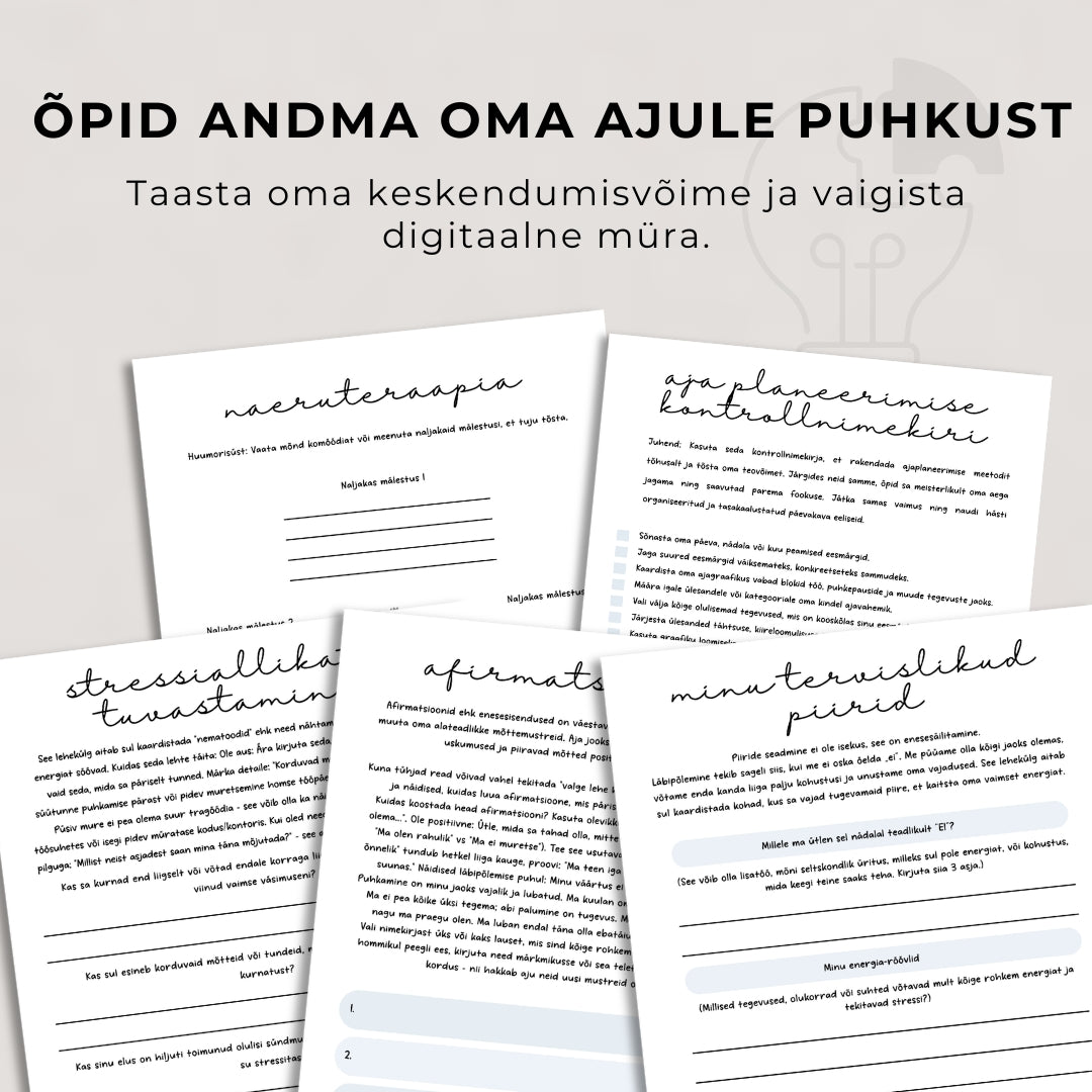 Läbipõlemise töövihik