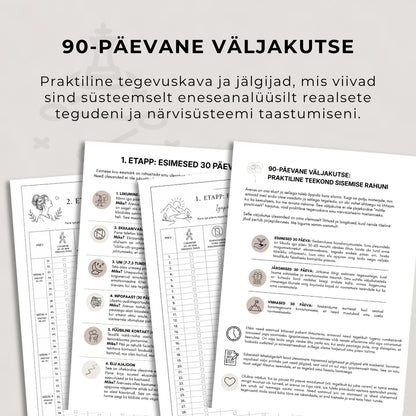 Kõrgfunktsionaalne ärevus + 90-päevane väljakutse